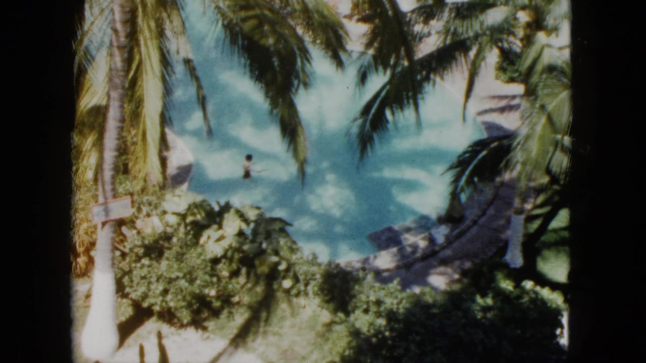 Elevated view of a tropical lagoon with palm trees and a distant swimmer.
