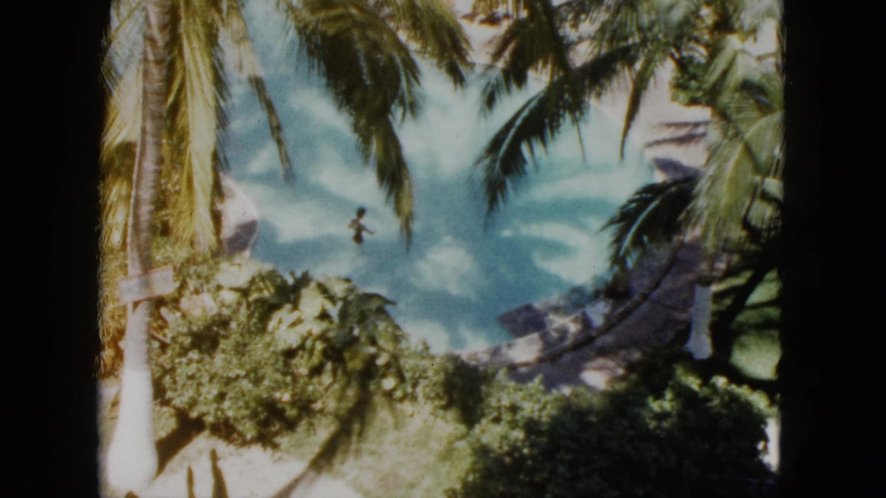 Palm-framed lagoon with a small swimmer visible in blue water.