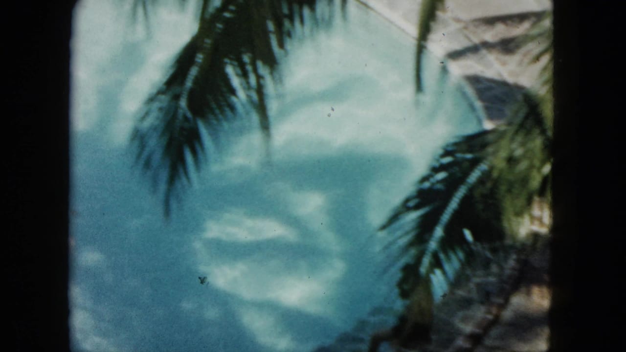 Palm fronds and soft turquoise sky seen through dark film-frame edges.