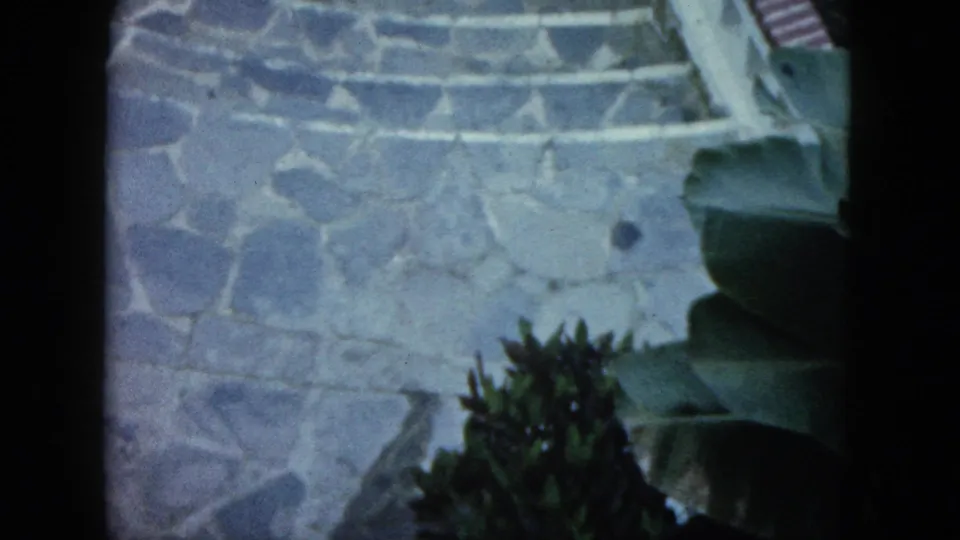 Acapulco 8mm garden view with stone paving, tropical planting, and partial steps seen from a handheld angle.