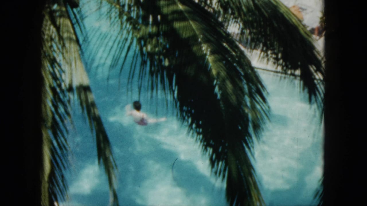 Swimmer in blue water partly obscured by large palm fronds.
