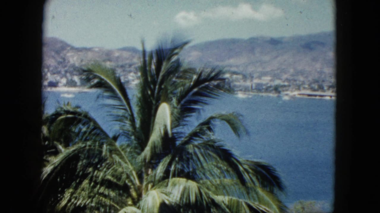 1962 Acapulco view framed by palm fronds, with the bay, coastal city, distant mountains, and bright sky visible.