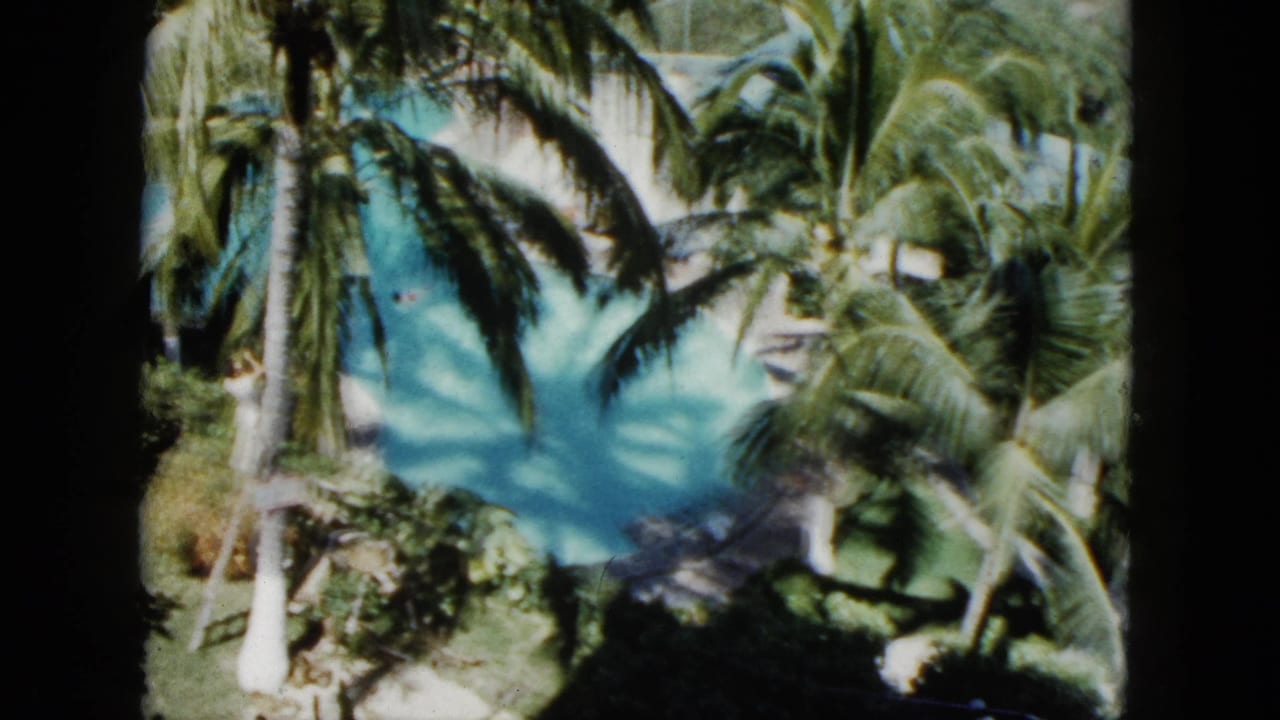 Turquoise pool seen through palm trees in a tropical garden.