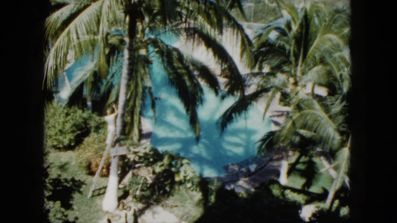 1962 Acapulco resort pool appears between tall palms, with dense greenery and strong midday light across the scene.