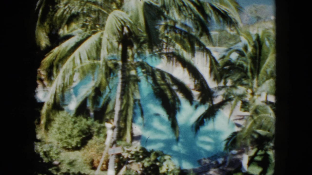 Elevated view of palm trees around a turquoise pool with dark film edges.