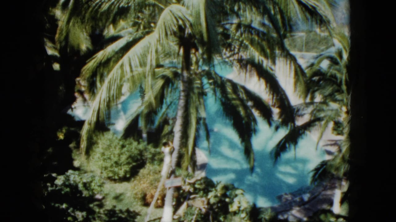 1962 Acapulco frame with palm trees, turquoise pool water, and a partially obscured light-toned person or figure near the poolside foliage.