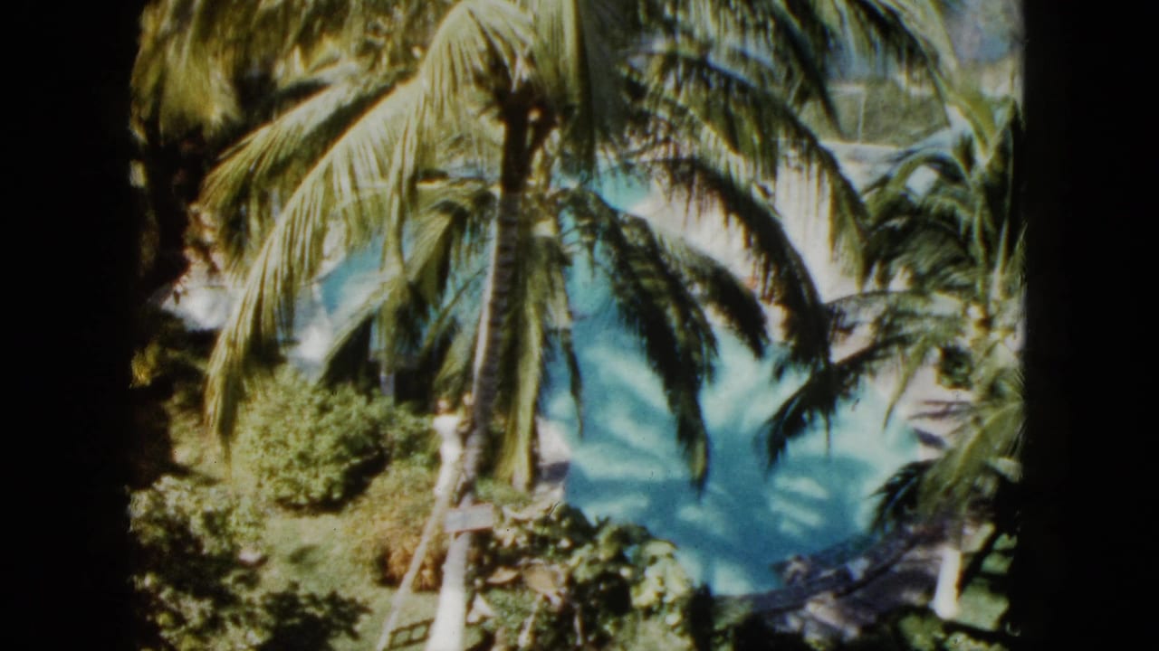 Palm trees and greenery overlook a bright turquoise swimming pool.