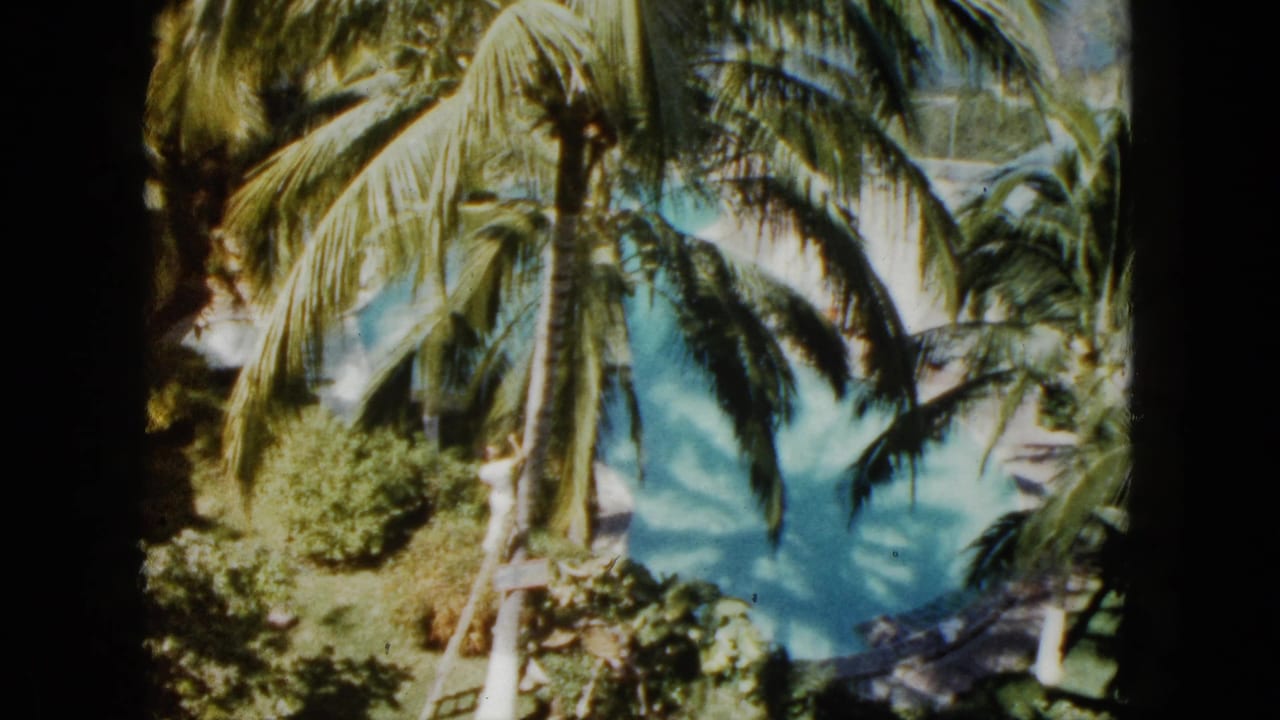 Tall palms frame a turquoise pool within dense resort landscaping.
