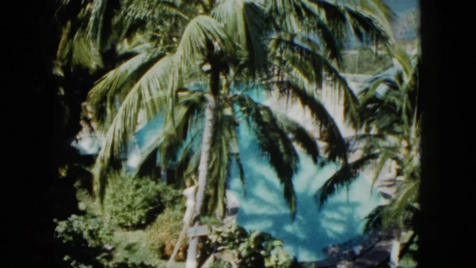 Home-movie frame of a tropical resort pool in Acapulco, with palms and planted greenery dominating the view.