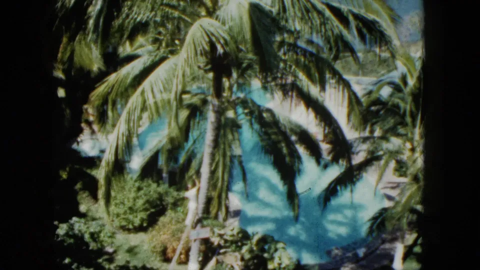 1962 Acapulco resort pool scene with overhanging palm leaves, bright water, and garden planting visible through 8mm softness.
