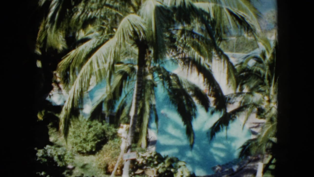 Palm trees and shrubs overlook turquoise pool water within dark 8mm frame edges.