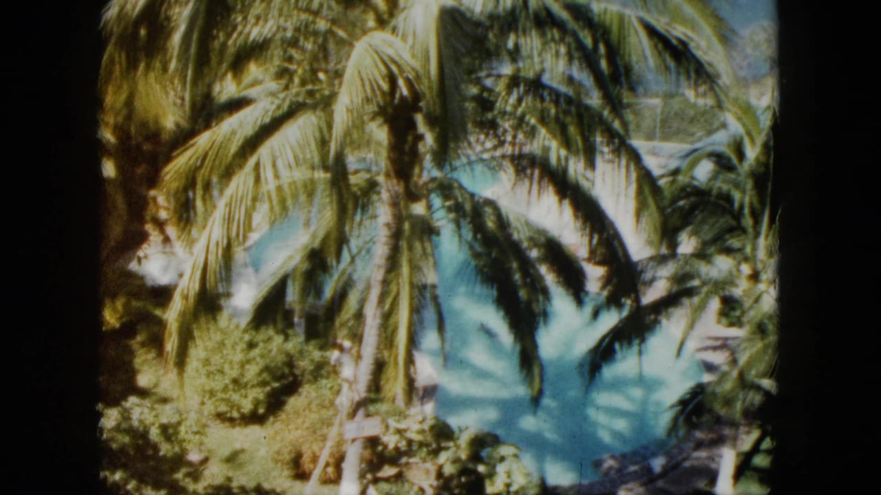 1962 Acapulco home-movie view of palm trees and dense greenery around a bright turquoise pool.