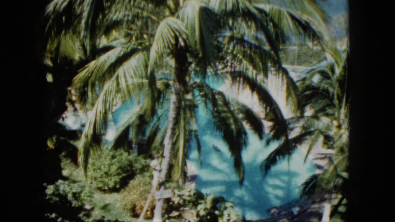 Tropical palms hang over a bright blue pool surrounded by greenery.