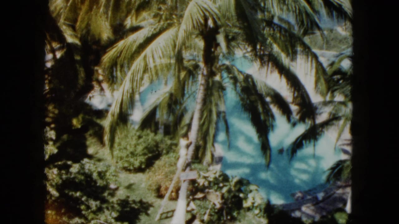 Palm trees and turquoise water seen from an elevated viewpoint with dark film borders.