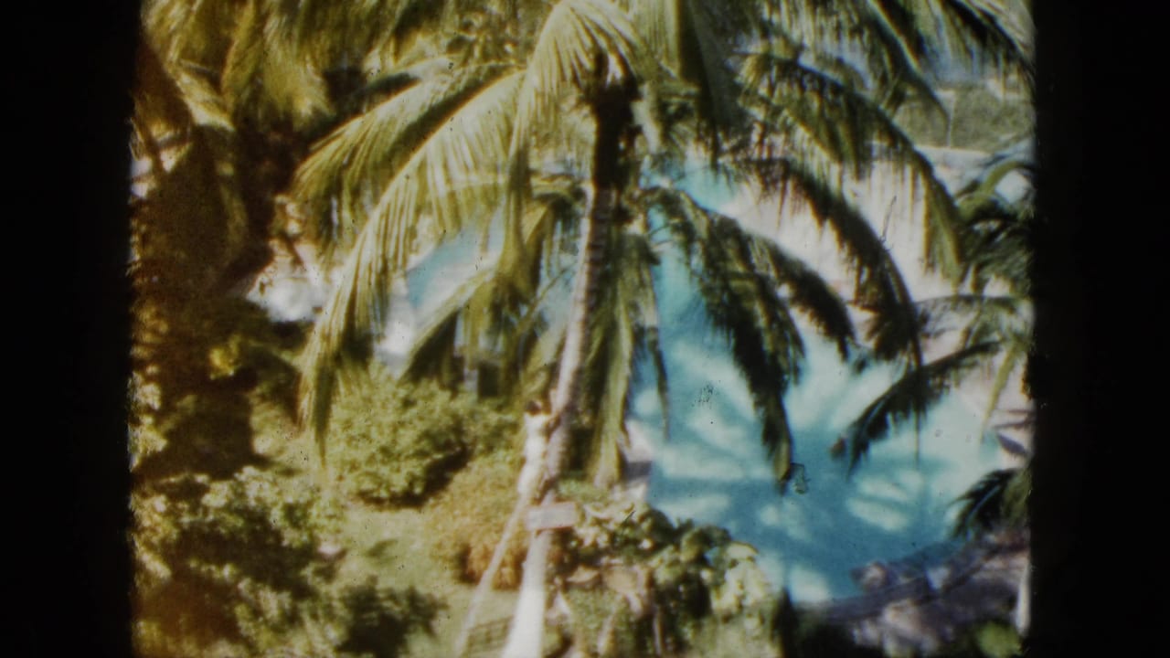 Palm canopy over blue-green water with soft 8mm color and dark frame edge.