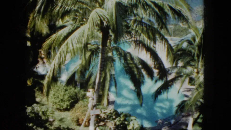 1962 Acapulco home-movie still with large palm fronds, bright water, and resort-like tropical planting.