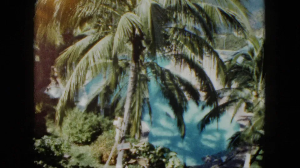 1962 Acapulco frame showing palms and bright turquoise water with warm, soft 8mm film texture.