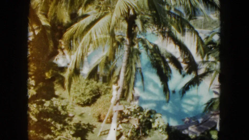 1962 Acapulco home-movie view of palm trees, resort greenery, and a curved blue pool from an elevated vantage point.
