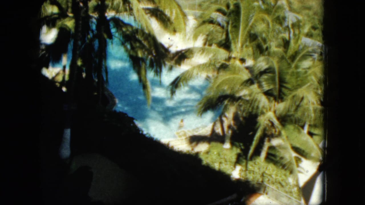 Coconut palms and a bright swimming pool seen through a dark window frame.