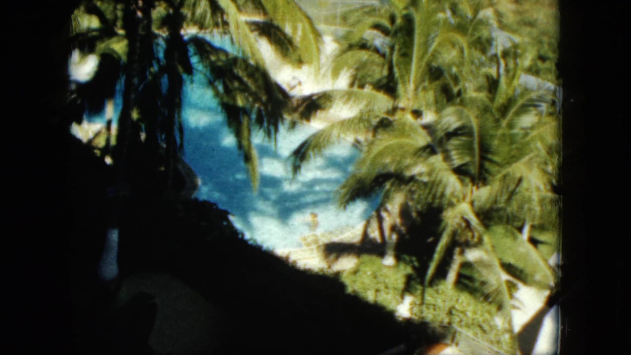 Sunlit Acapulco pool and coconut palms appear beyond a dark foreground frame in this 1962 8mm still.