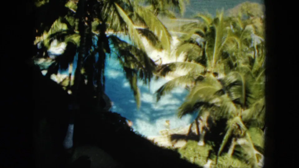 1962 Acapulco resort pool scene with coconut palms, bright water, and a distant swimmer visible from shade.