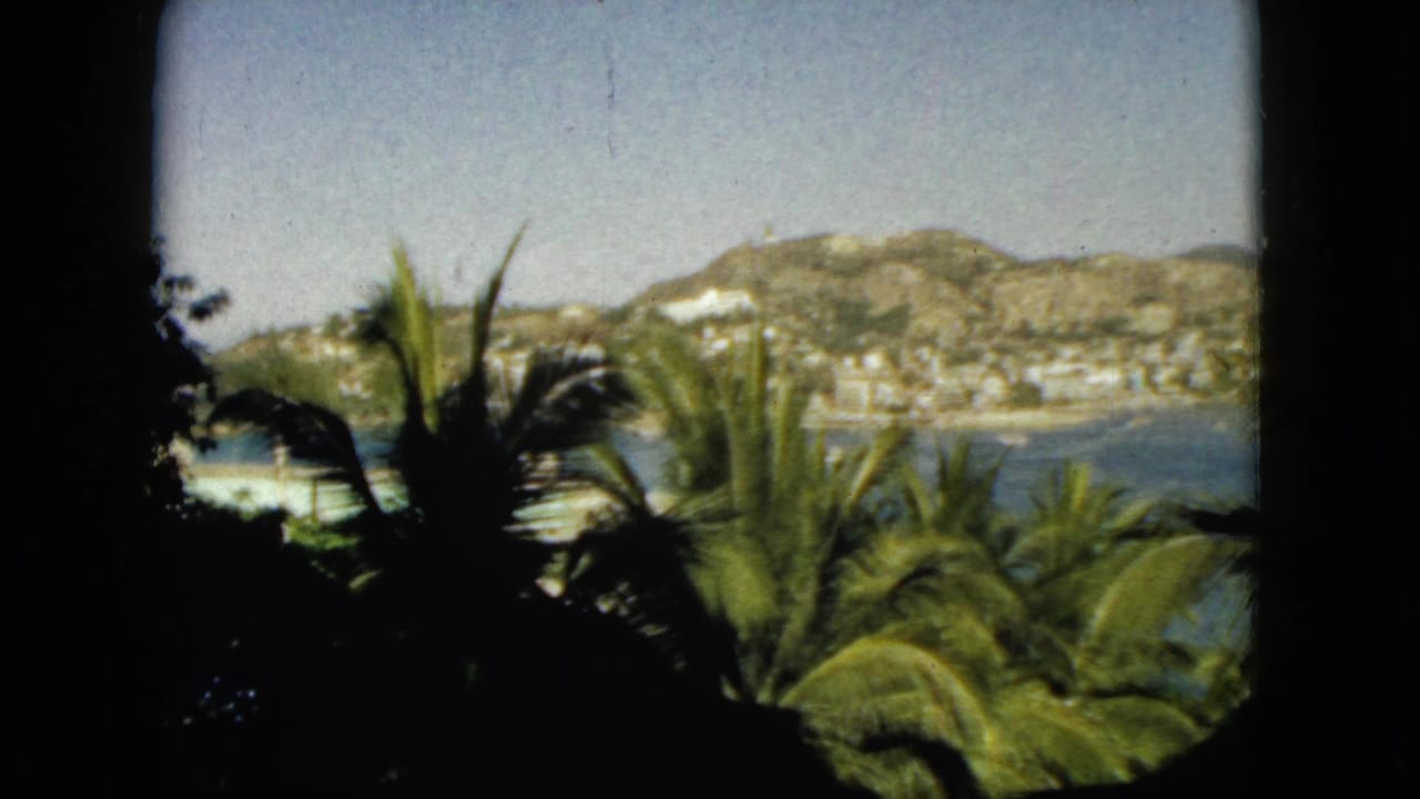 1962 Acapulco coastal vista with dark foreground foliage, palm leaves, blue water, hillside settlement, and soft 8mm color visible through the frame.