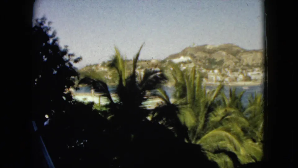 Visitor-shot 1962 Acapulco view from shade, with dense dark foliage, palm fronds, bay water, hillside buildings, and a sunlit coastal slope in the background.
