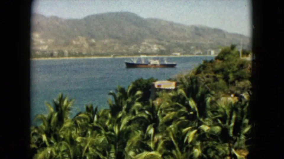 1962 Acapulco bay view with palms and shoreline vegetation in the foreground, a large vessel on the water, hills behind it, and scattered buildings along the coast.