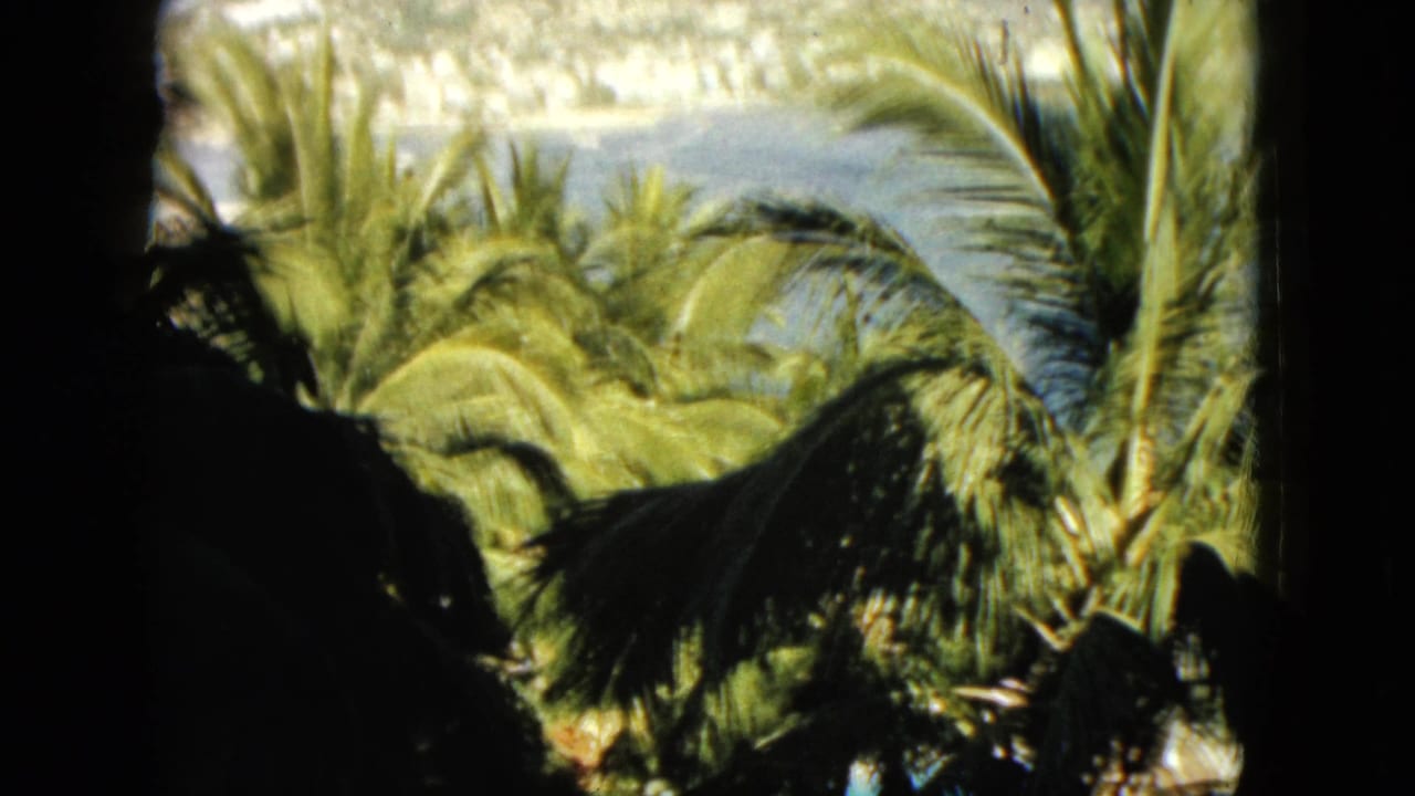 Palm leaves fill the foreground with bay water and a hillside town beyond.