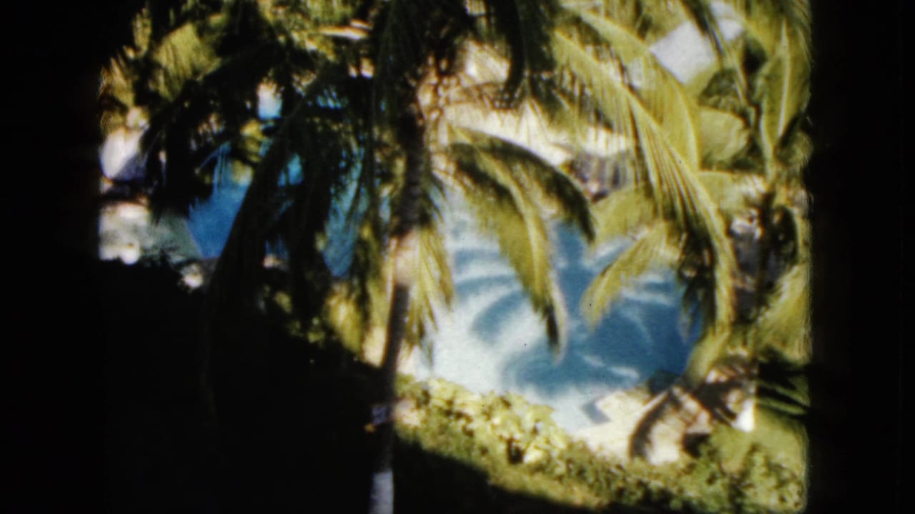 Palm-lined Acapulco beach view on 8mm film, with shaded fronds, bright sand, and blue coastal water.