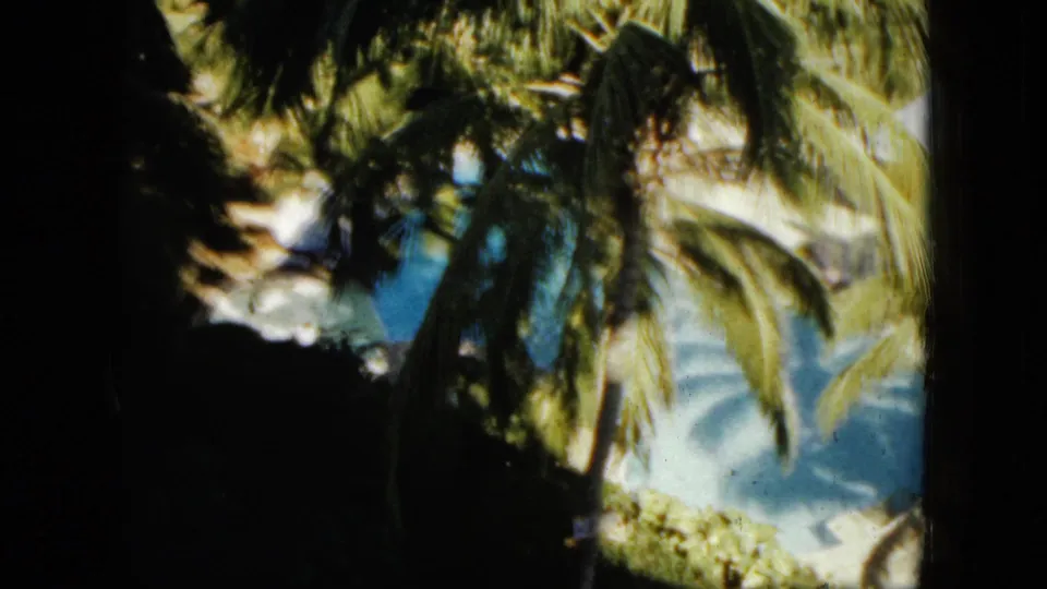 Handheld 1962 Acapulco frame looking through palms toward sunlit sand and blue ocean water.