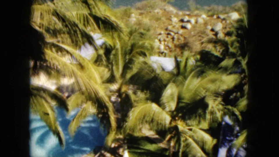 1962 Acapulco frame with wind-blurred palm fronds, bright blue water glimpses, and rocky hillside beyond.