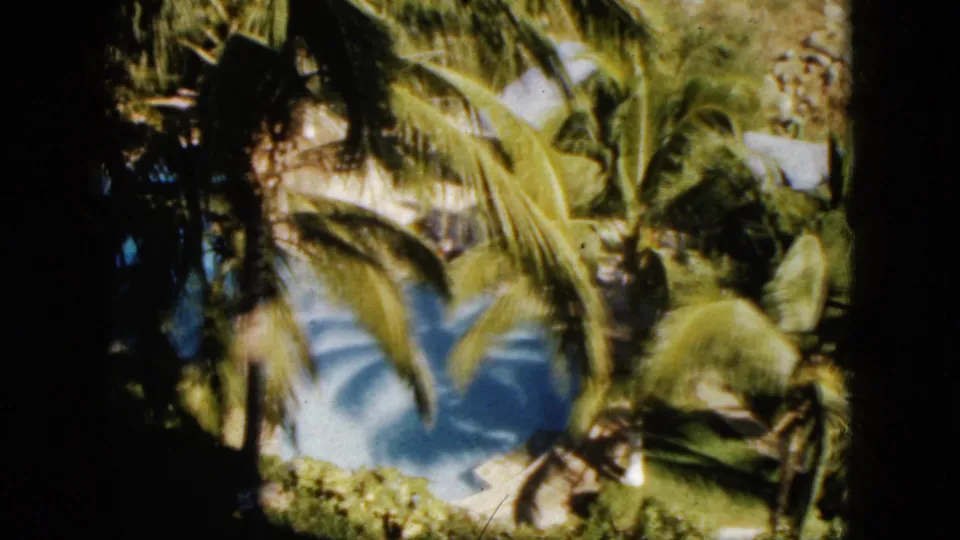 1962 Acapulco 8mm frame showing layered palms, a blue water glimpse, rocky terrain, and pronounced dark film borders.