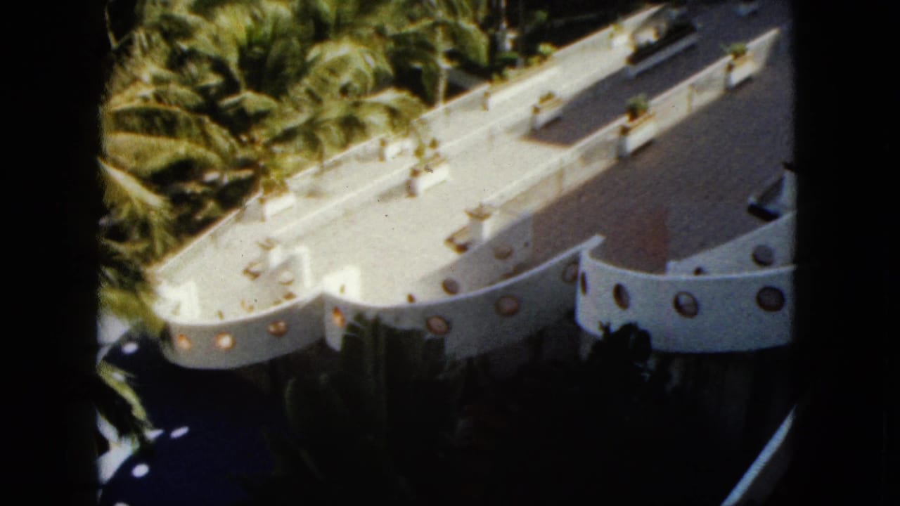 White curved resort roof and balconies seen above dense palm trees.