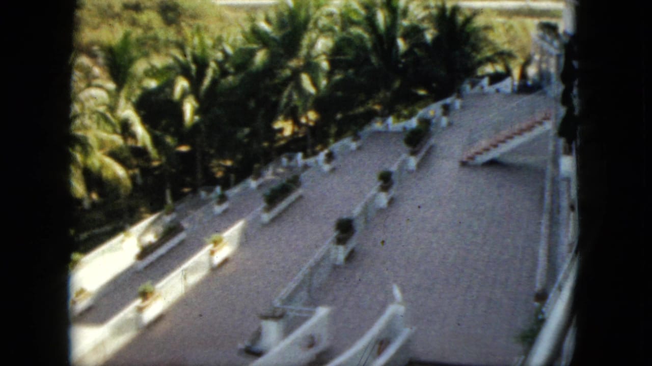 Elevated view of a white resort terrace with palms, planters, and curved railings.