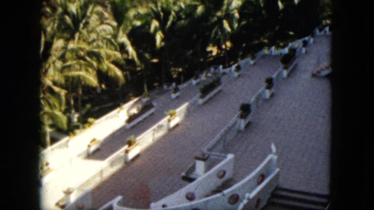 White curved terrace and palm trees seen from above in strong sunlight.