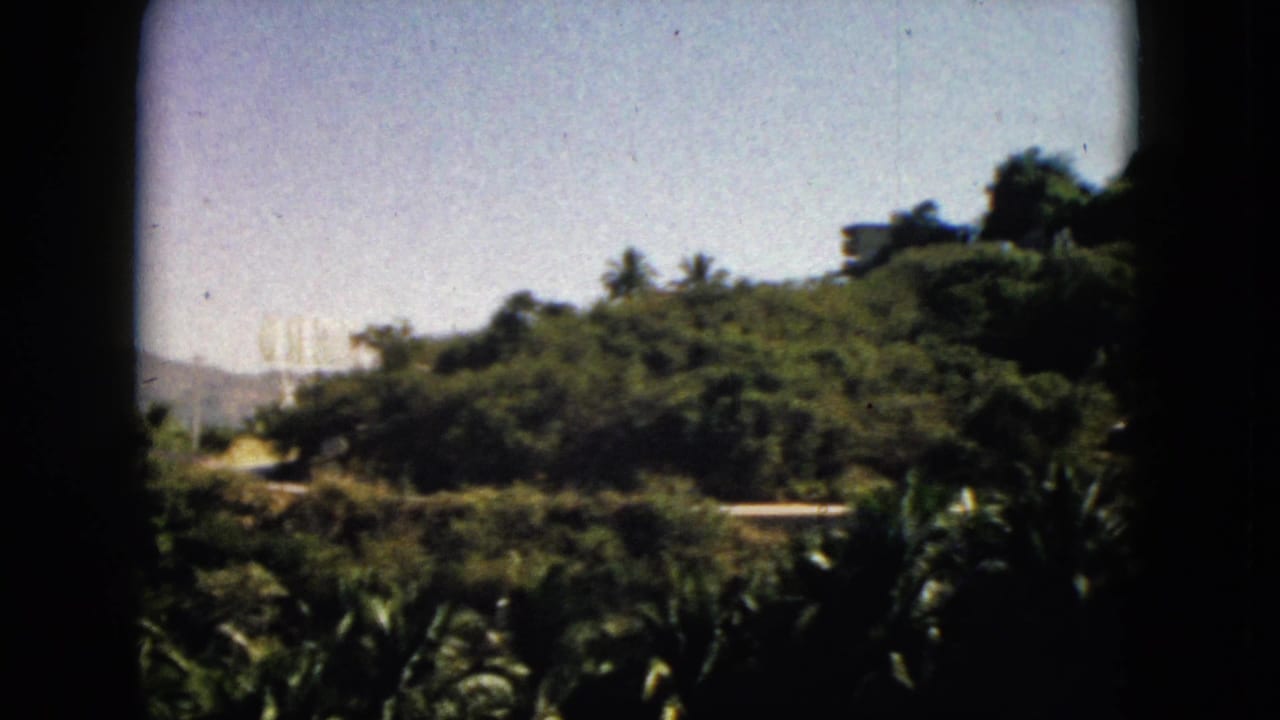 1962 Acapulco 8mm frame showing a sunlit green hillside, palm foliage, distant structures, and dark gate-edge shadows.