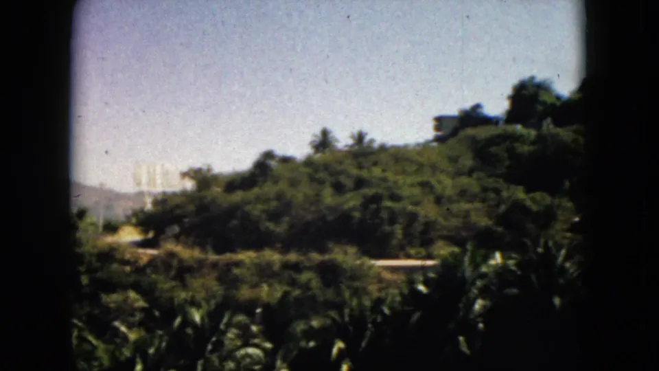 1962 Acapulco 8mm frame showing a sunlit green hillside, palm foliage, distant structures, and dark gate-edge shadows.