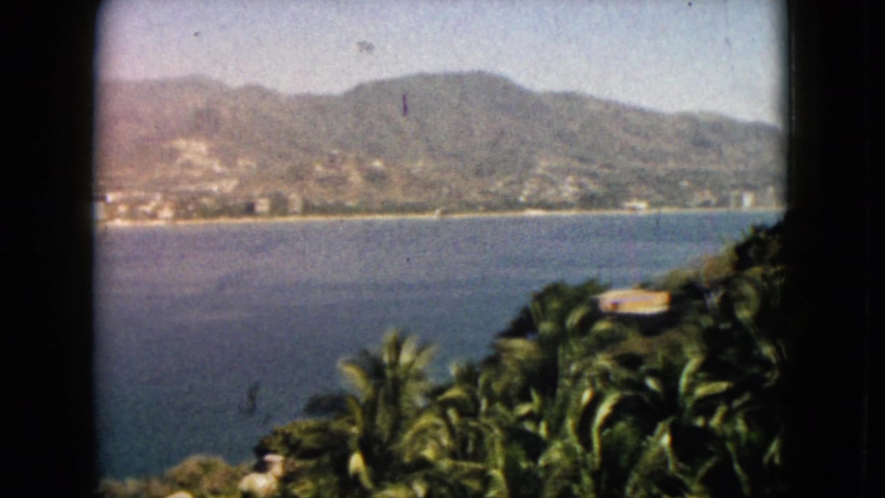 Coastal bay with mountains beyond, palm trees in the foreground, and black 8mm frame edges.
