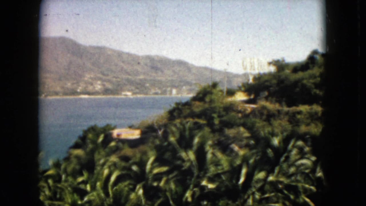 Ocean and mountain shoreline partly framed by palms and a green hillside.