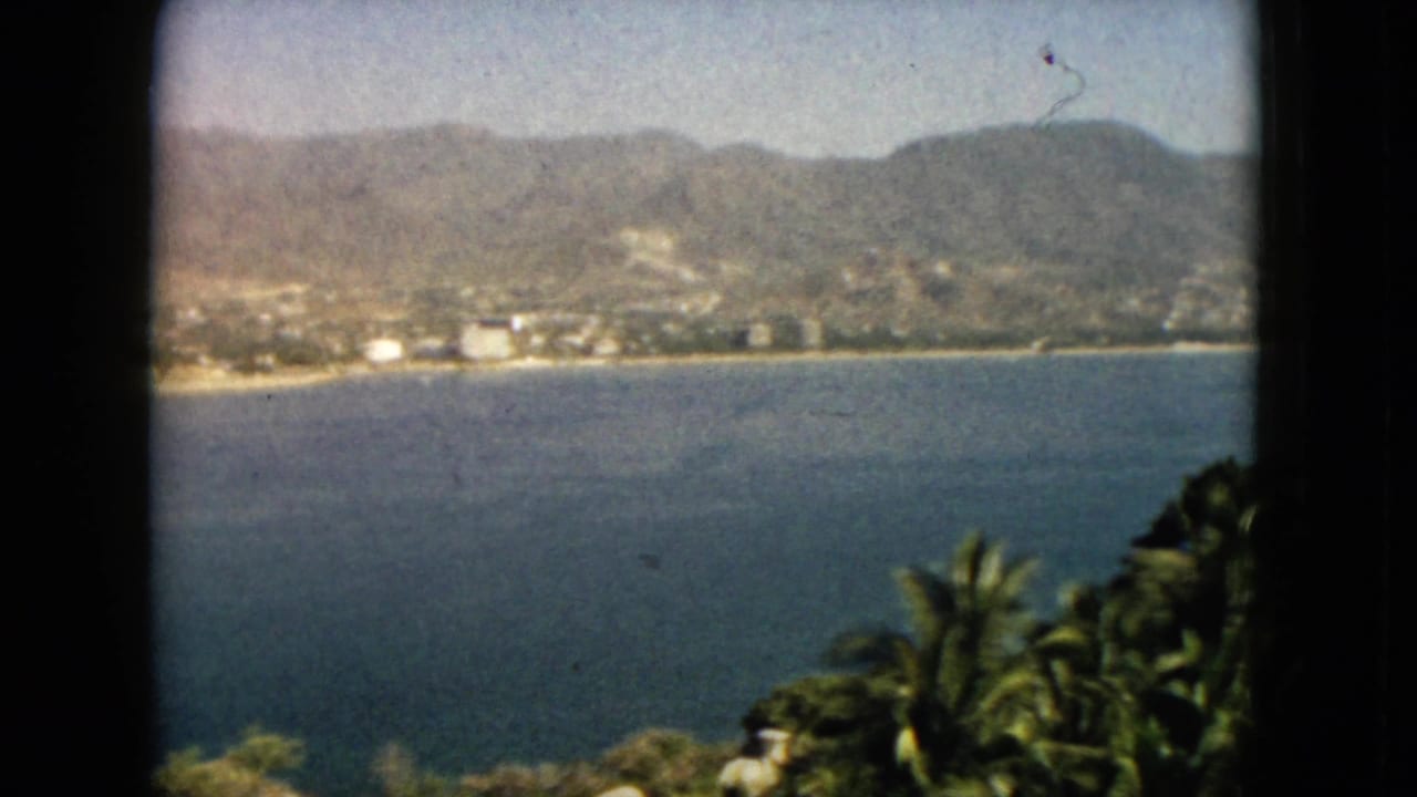 Coastal water and distant shoreline seen past palm foliage and dark film-frame borders.