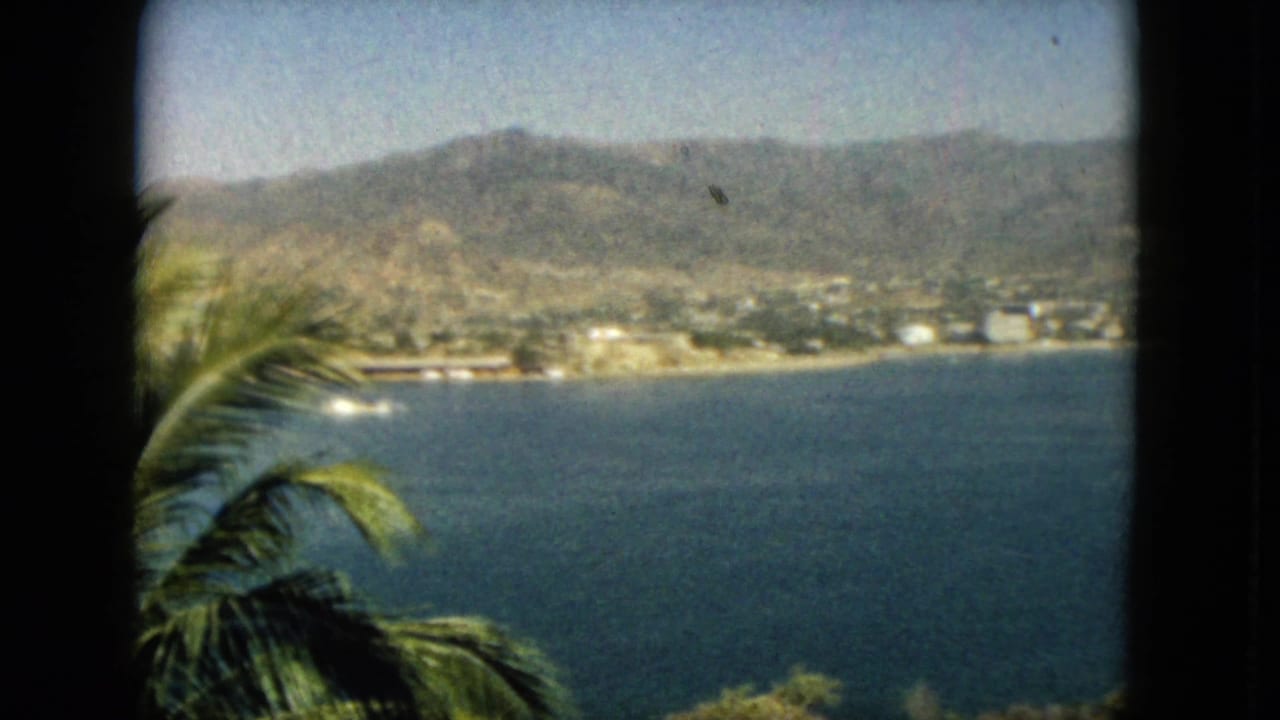 Elevated view of a blue bay, coastline, mountains, and palm fronds framed by dark borders.