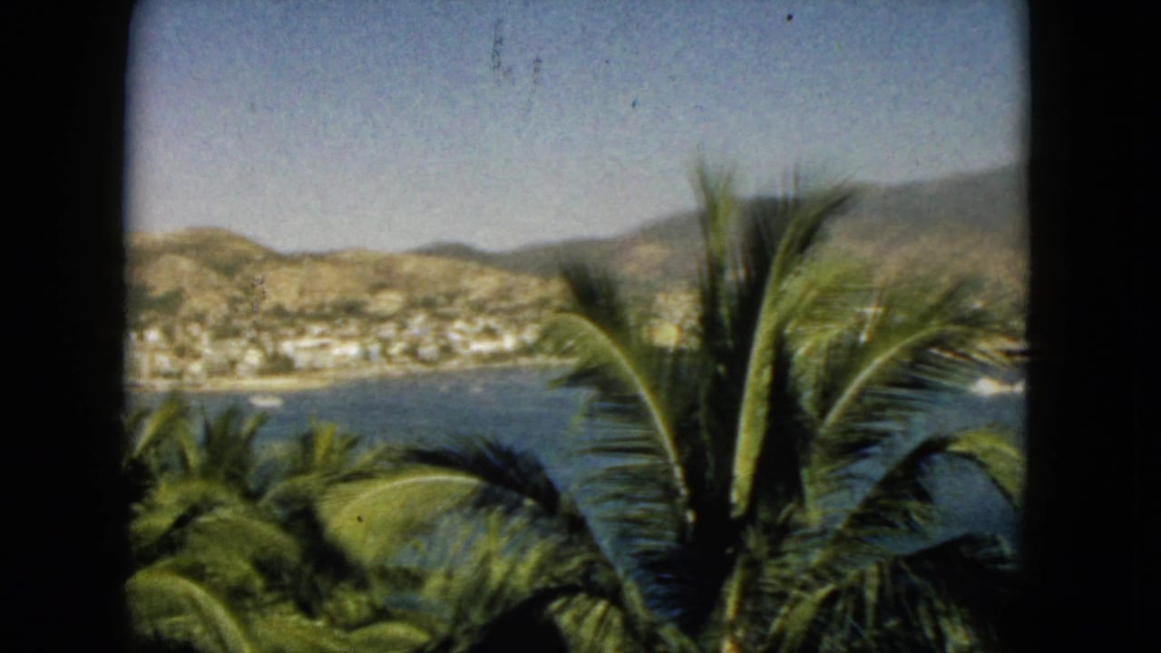Palm fronds frame a blue bay with shoreline buildings and mountains beyond.