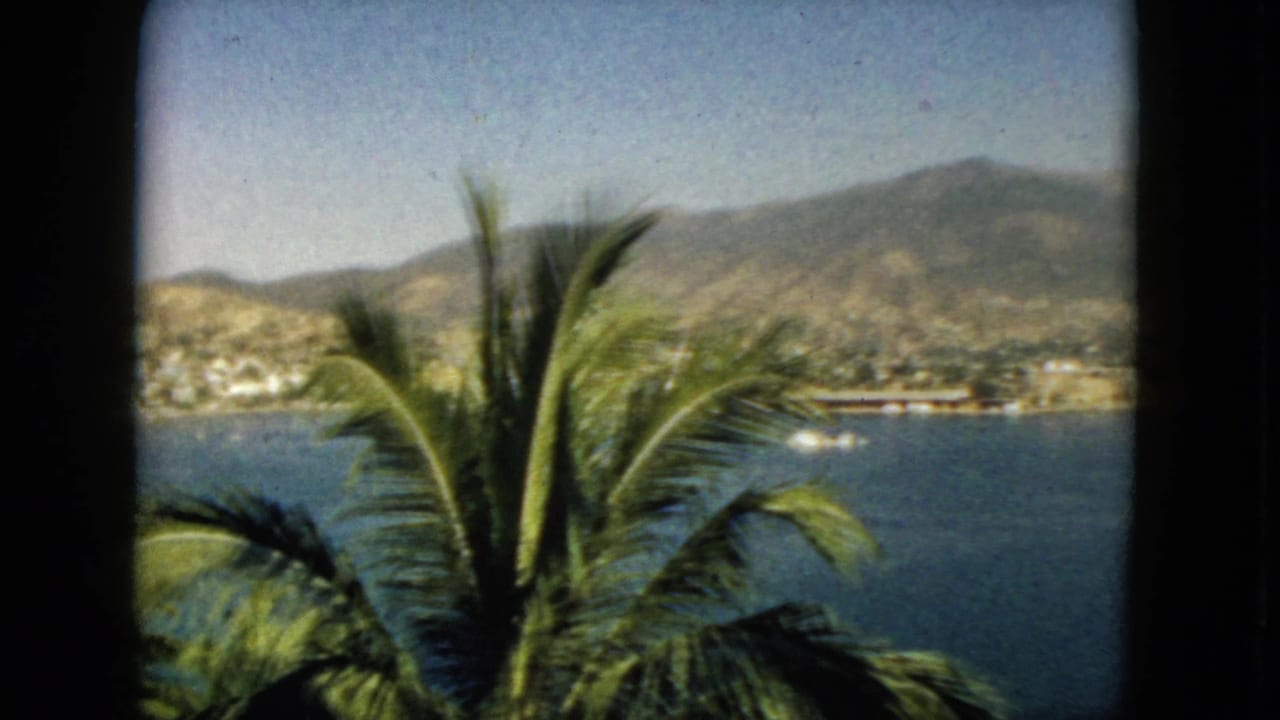 1962 Acapulco coastal view with large palm fronds in front of bay water, distant buildings, and mountain slopes.