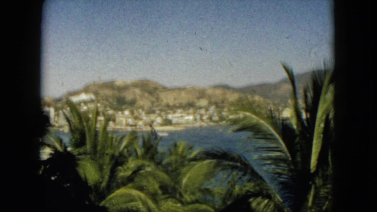 Palm fronds and a coastal bay seen through a dark window frame.