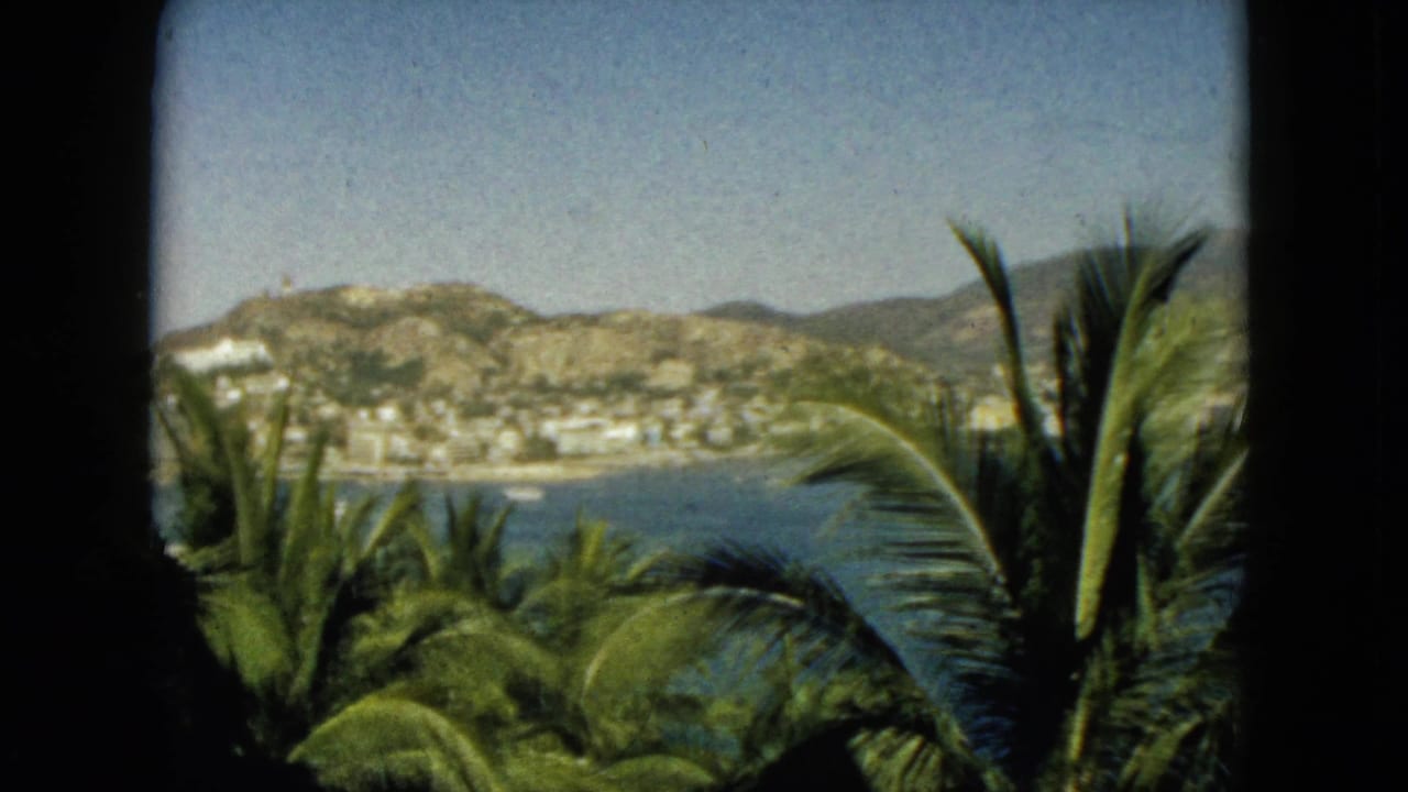 Window-framed 1962 Acapulco view with palm leaves in front of a blue bay, pale shoreline buildings, and sunlit hills.