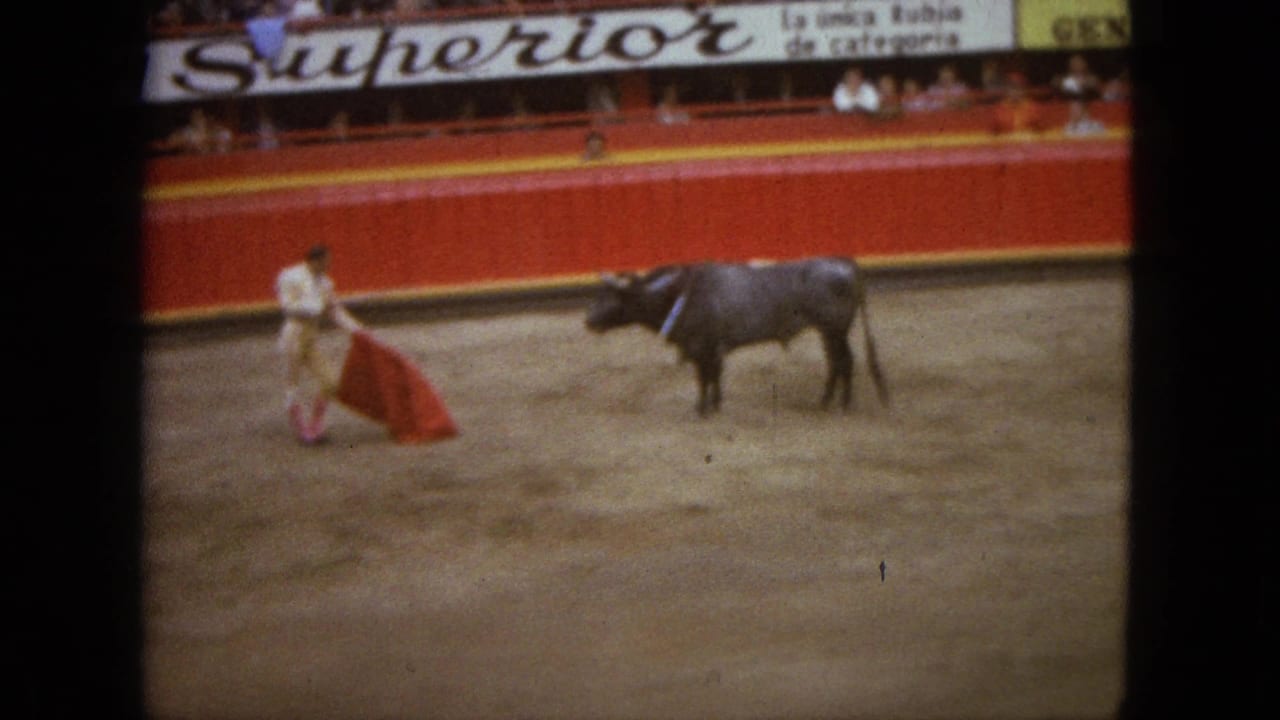 Matador with red cape stands near a dark bull in the arena.
