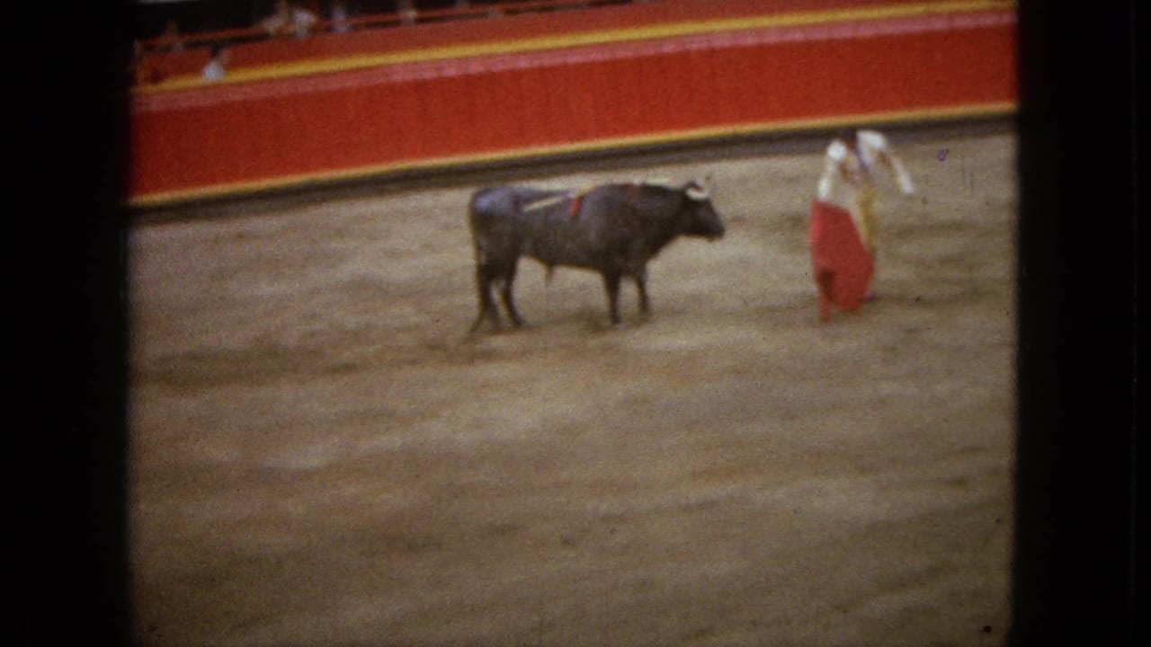 Dark bull stands opposite a matador holding a red cape.