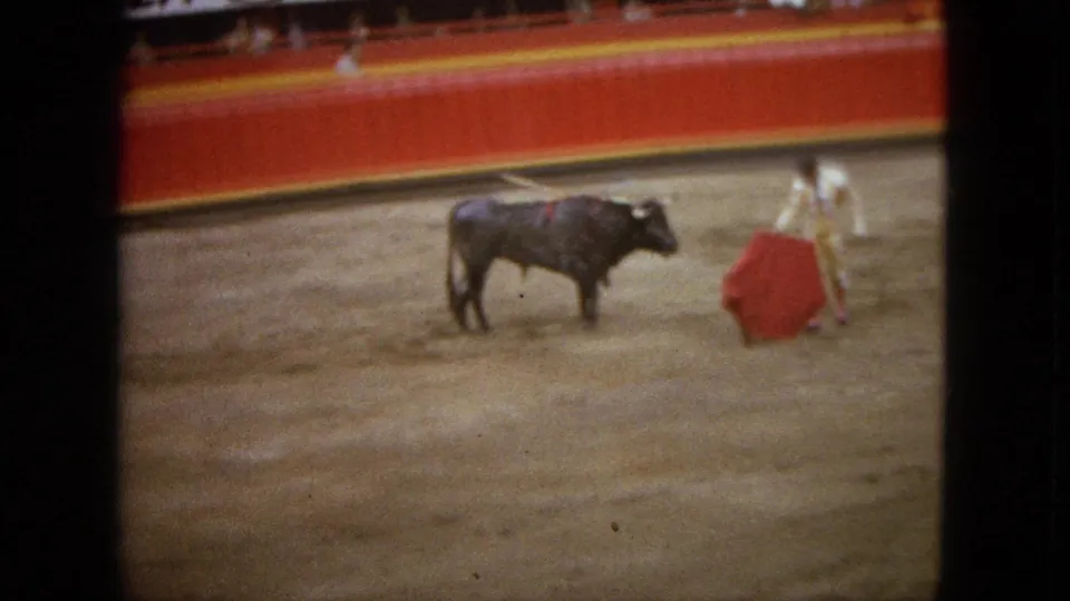 The matador presents a red cape to a dark bull during the Acapulco, Mexico bullfight, filmed from the stands in 1962.
