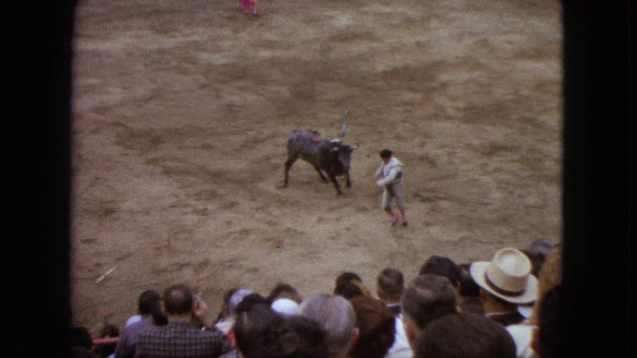 Matador approaches a dark bull on the arena floor with spectators in the foreground.